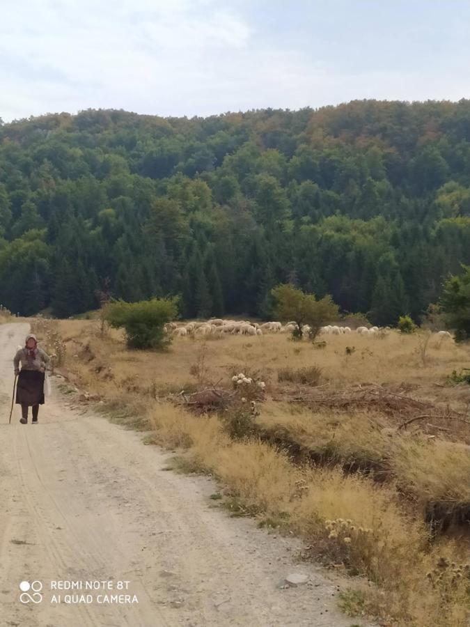 Vodenica Lug Βίλα Strmosten Εξωτερικό φωτογραφία